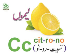 C-300x212 Esperanto Alfabeto