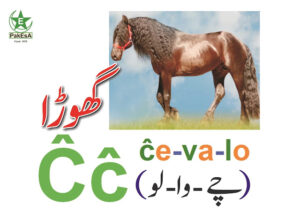 Ch-300x212 Esperanto Alfabeto