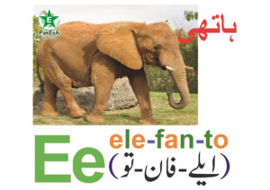 E-300x212 Esperanto Alfabeto