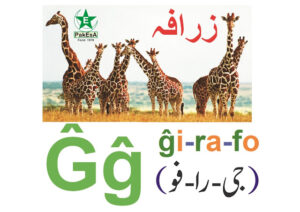 Gx-300x212 Esperanto Alfabeto