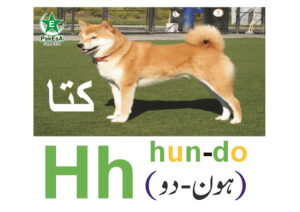 H-300x212 Esperanto Alfabeto