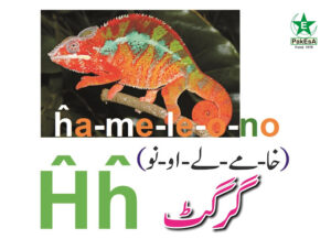 Hx-300x217 Esperanto Alfabeto