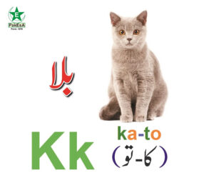 K-300x256 Esperanto Alfabeto