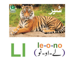 L-300x256 Esperanto Alfabeto