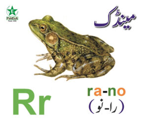 R-300x256 Esperanto Alfabeto