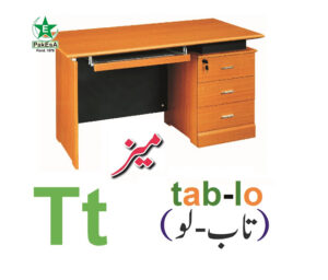 T-300x256 Esperanto Alfabeto