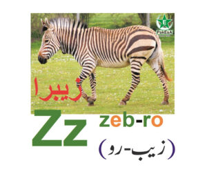 Z-300x255 Esperanto Alfabeto